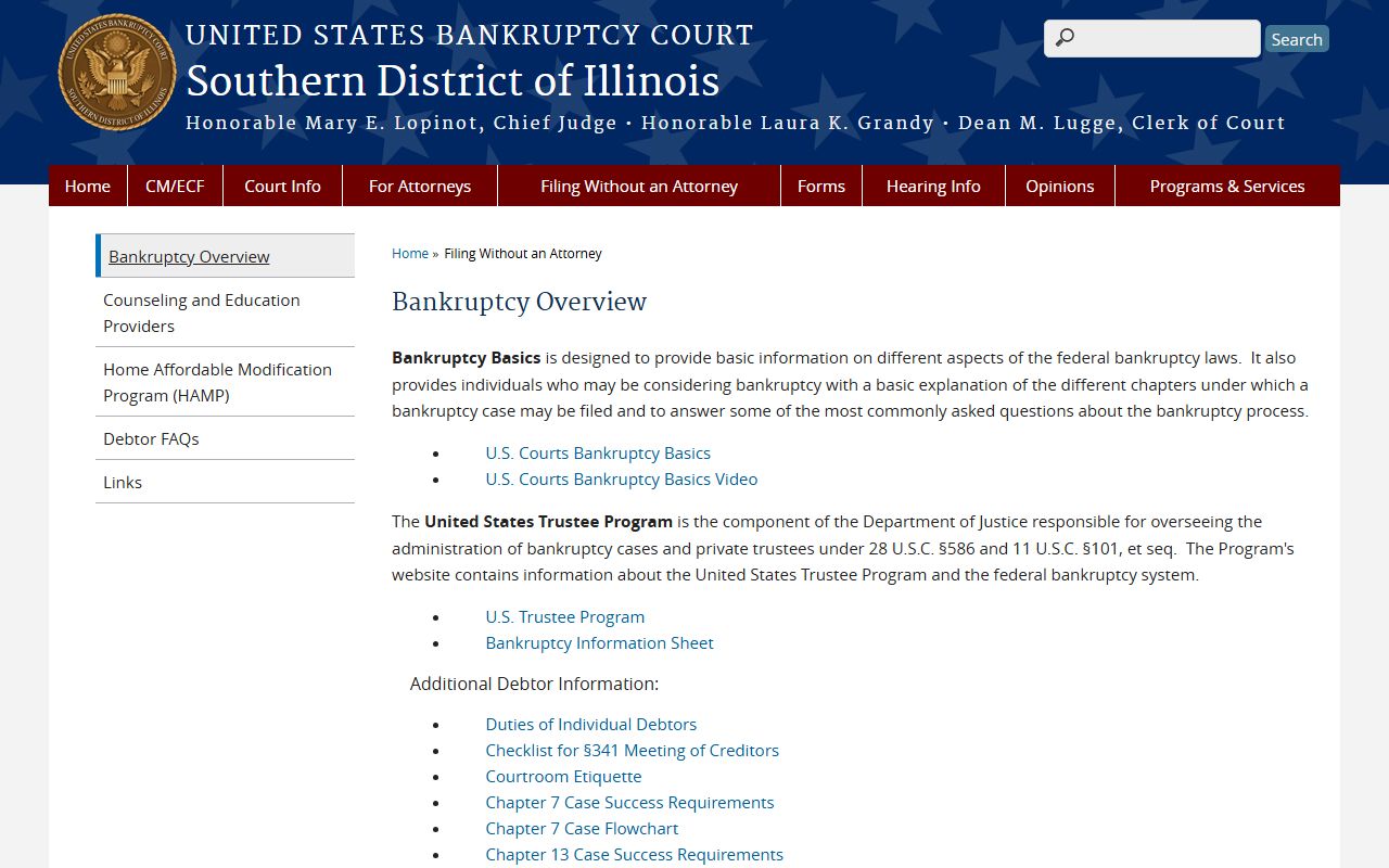 Bankruptcy overview and filing guide for Illinois